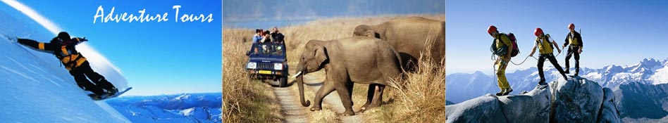 Adventure Tours - Tour Travel World